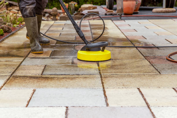 Best Driveway Pressure Washing  in Lynwood, IL