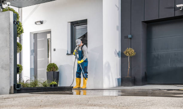 Best Patio and Deck Pressure Washing  in Lynwood, IL